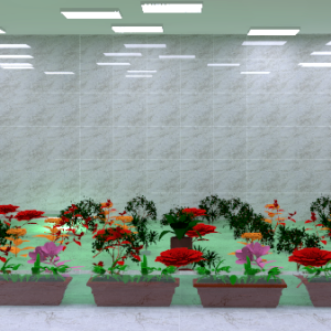 U&S AHŞAP PERGOLA VERANDA YAPI